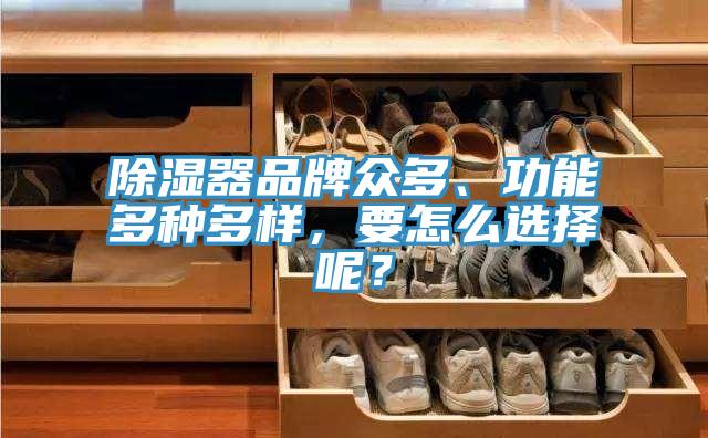 除湿器品牌众多、功能多种多样，要怎么选择呢？