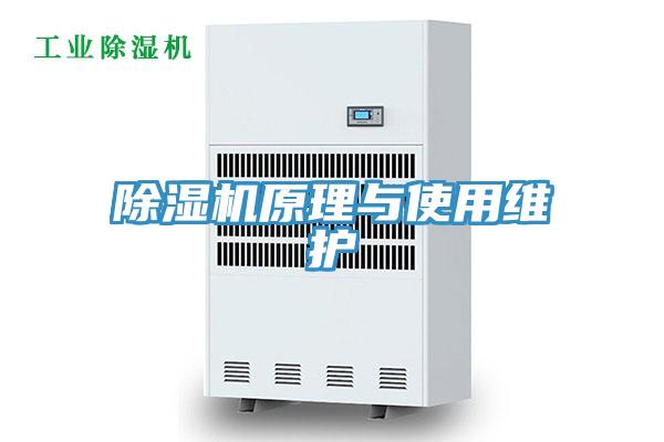 抖音成人版下载原理与使用维护