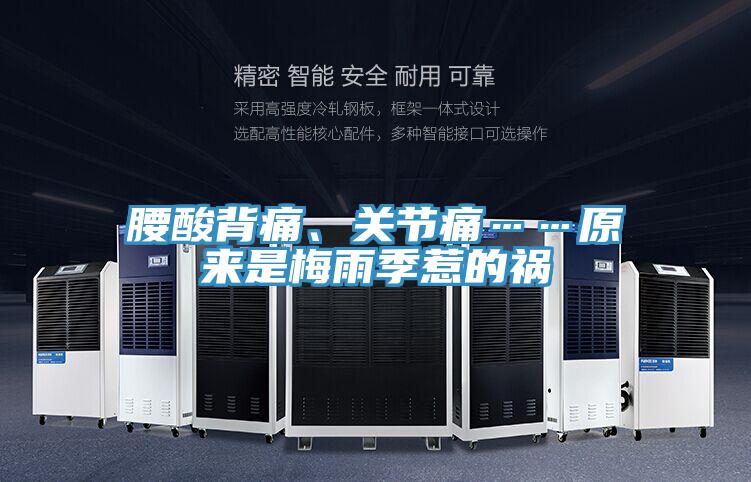 腰酸背痛、关节痛……原来是梅雨季惹的祸