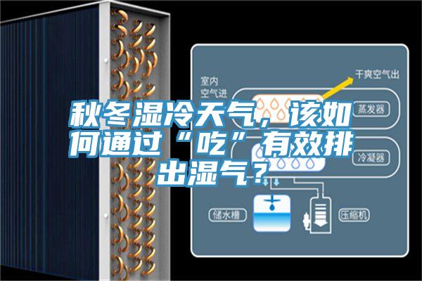 秋冬湿冷天气，该如何通过“吃”有效排出湿气？