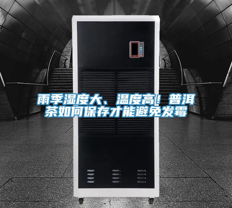 雨季湿度大、温度高！普洱茶如何保存才能避免发霉