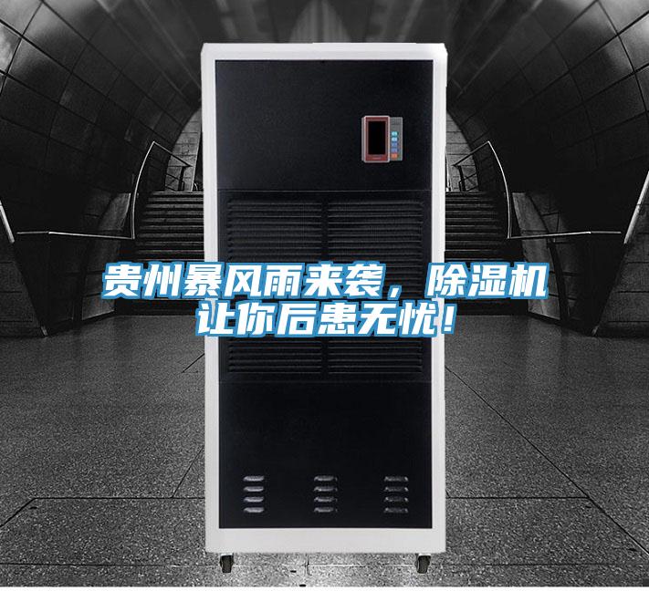 贵州暴风雨来袭，抖音成人版下载让你后患无忧！