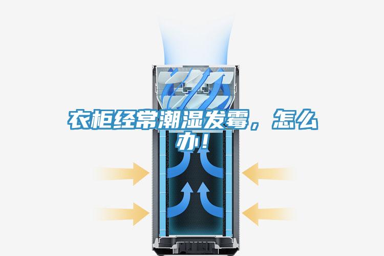 衣柜经常潮湿发霉，怎么办！
