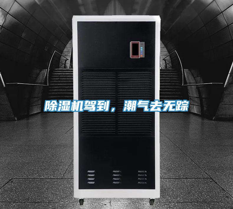 抖音成人版下载驾到，潮气去无踪