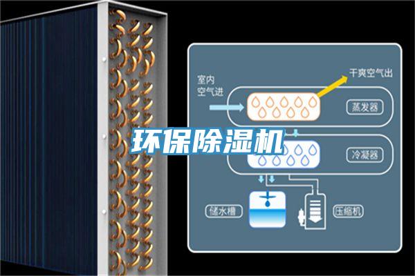 环保抖音成人版下载