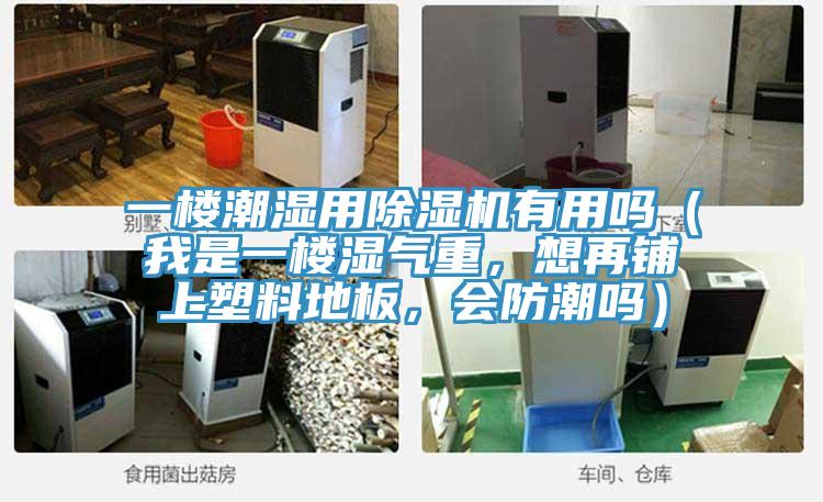 一楼潮湿用抖音成人版下载有用吗（我是一楼湿气重，想再铺上塑料地板，会防潮吗）