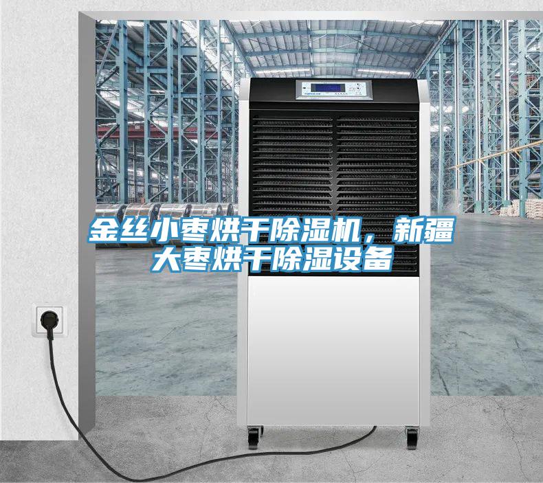 金丝小枣烘干抖音成人版下载，新疆大枣烘干除湿设备