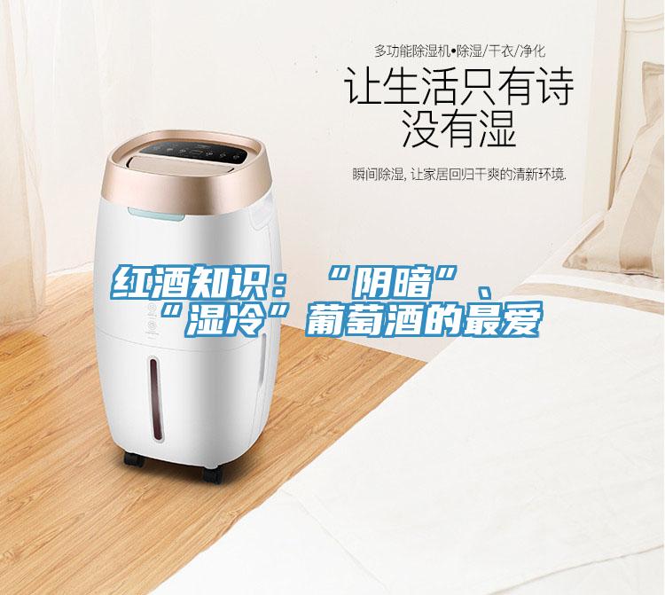 红酒知识：“阴暗”、“湿冷”葡萄酒的最爱