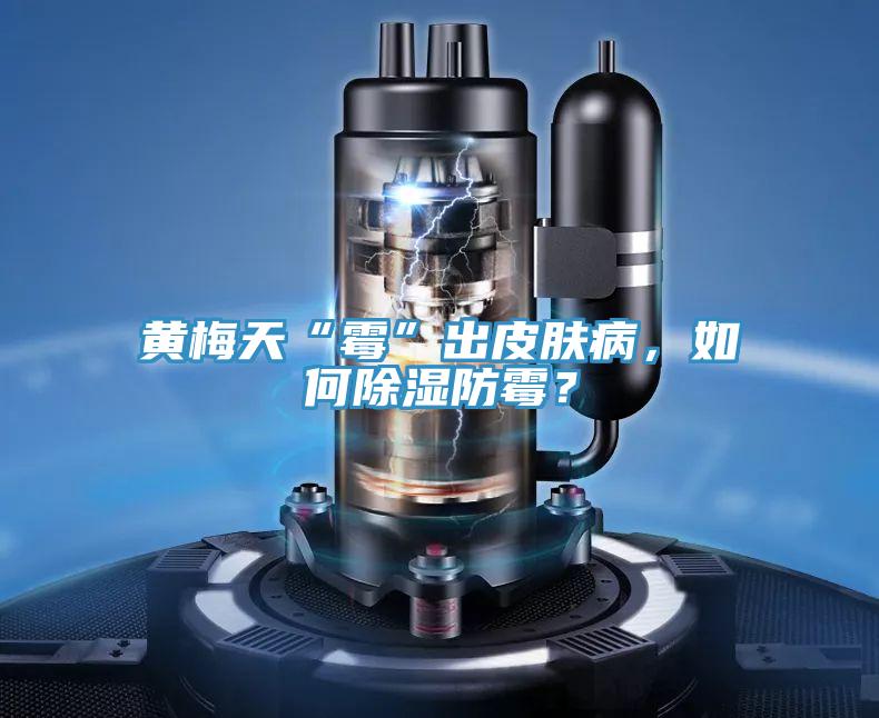黄梅天“霉”出皮肤病，如何除湿防霉？