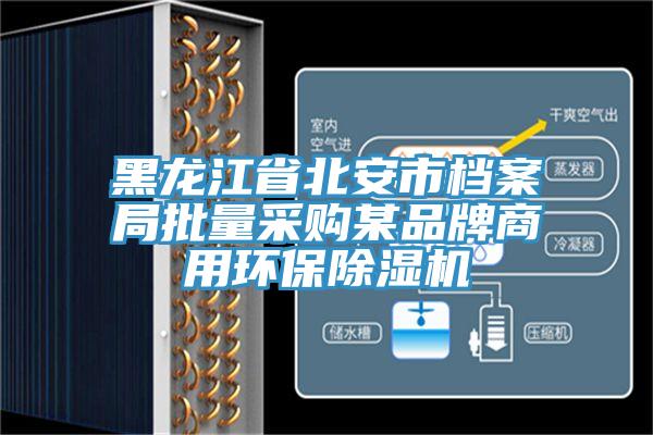 黑龙江省北安市档案局批量采购某品牌商用环保抖音成人版下载