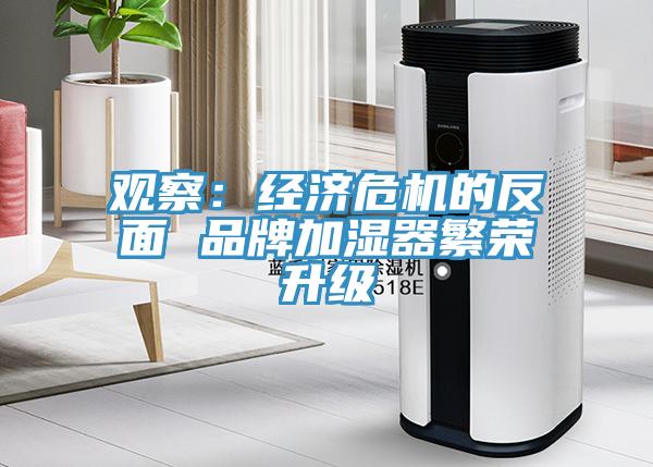 观察：经济危机的反面 品牌加湿器繁荣升级