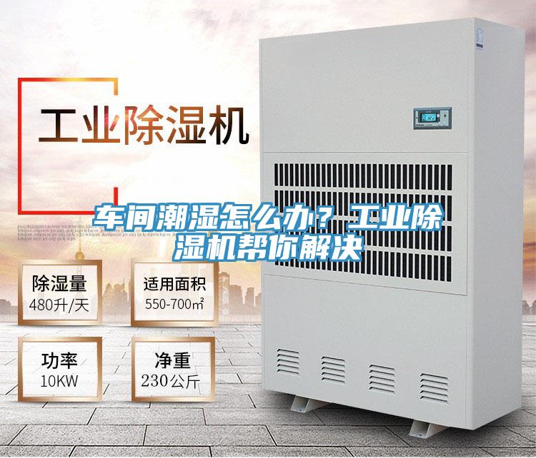 车间潮湿怎么办？工业抖音成人版下载帮你解决