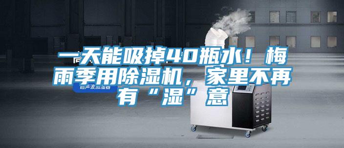 一天能吸掉40瓶水！梅雨季用抖音成人版下载，家里不再有“湿”意
