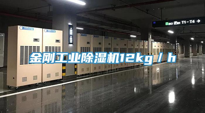 金刚工业抖音成人版下载12kg／h