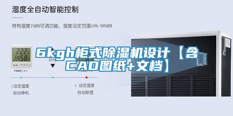 6kgh柜式抖音成人版下载设计【含CAD图纸+文档】