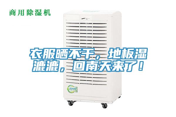 衣服晒不干，地板湿漉漉，回南天来了！