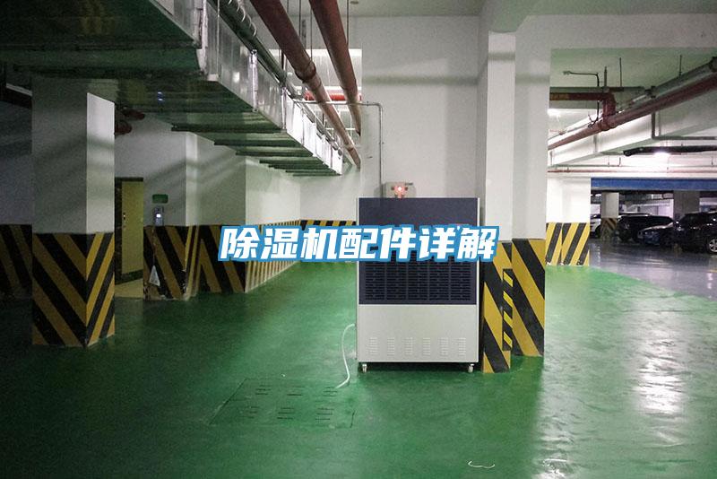 抖音成人版下载配件详解