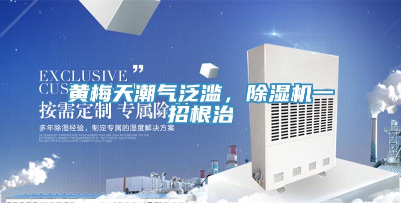 黄梅天潮气泛滥，抖音成人版下载一招根治