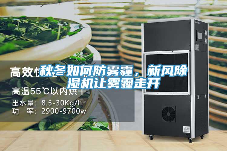 秋冬如何防雾霾，新风抖音成人版下载让雾霾走开