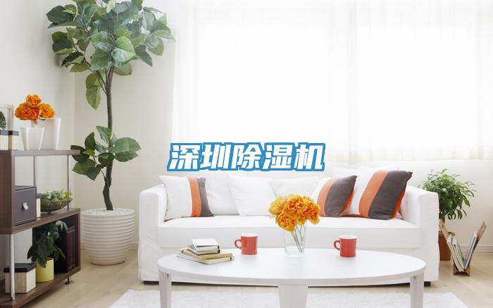 深圳抖音成人版下载