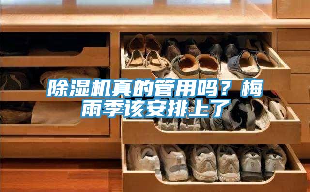 抖音成人版下载真的管用吗？梅雨季该安排上了