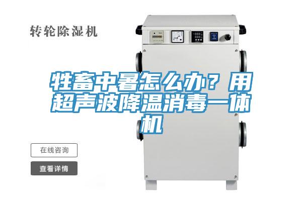 牲畜中暑怎么办？用超声波降温消毒一体机