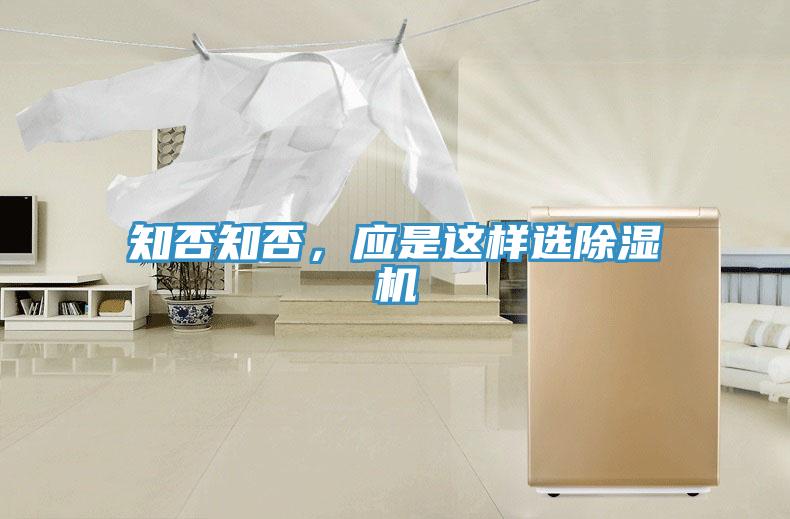 知否知否，应是这样选抖音成人版下载