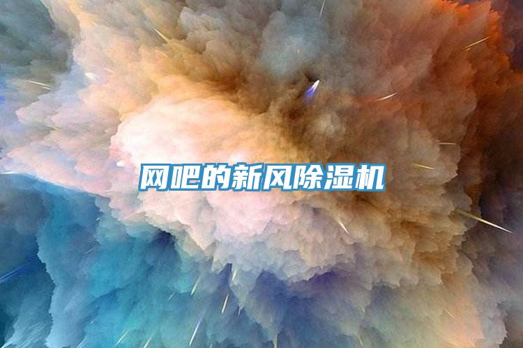 网吧的新风抖音成人版下载