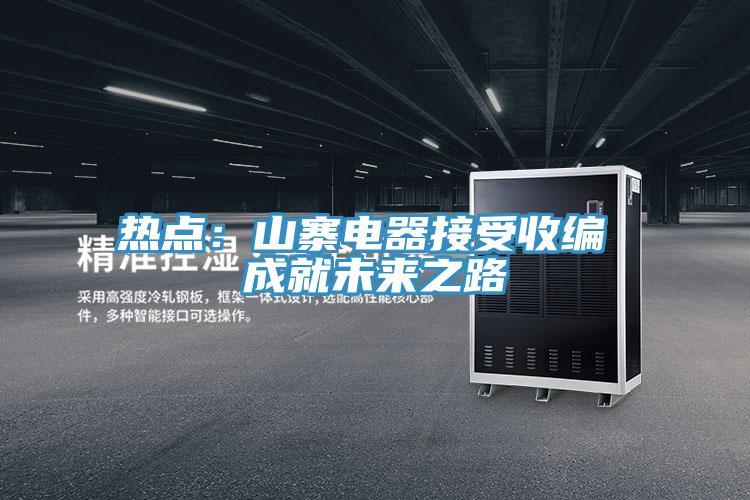 热点：山寨电器接受收编 成就未来之路