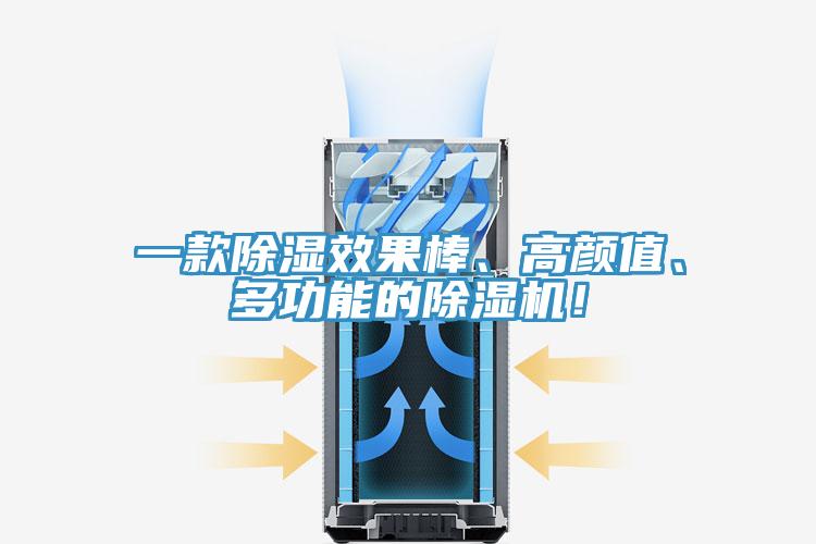 一款除湿效果棒、高颜值、多功能的抖音成人版下载！