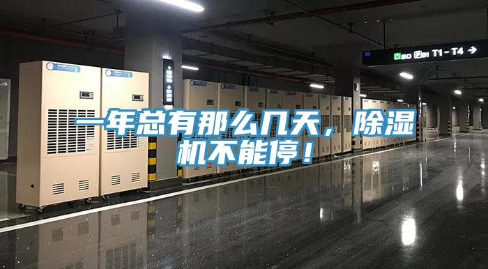 一年总有那么几天，抖音成人版下载不能停！