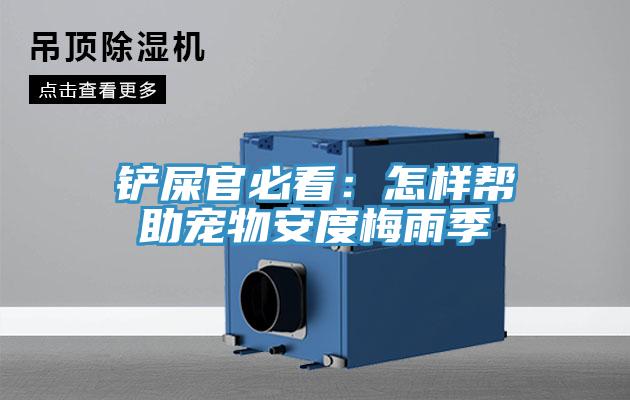 铲屎官必看：怎样帮助宠物安度梅雨季