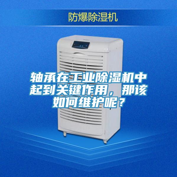 轴承在工业抖音成人版下载中起到关键作用，那该如何维护呢？