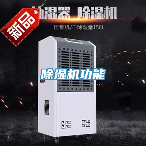 抖音成人版下载功能