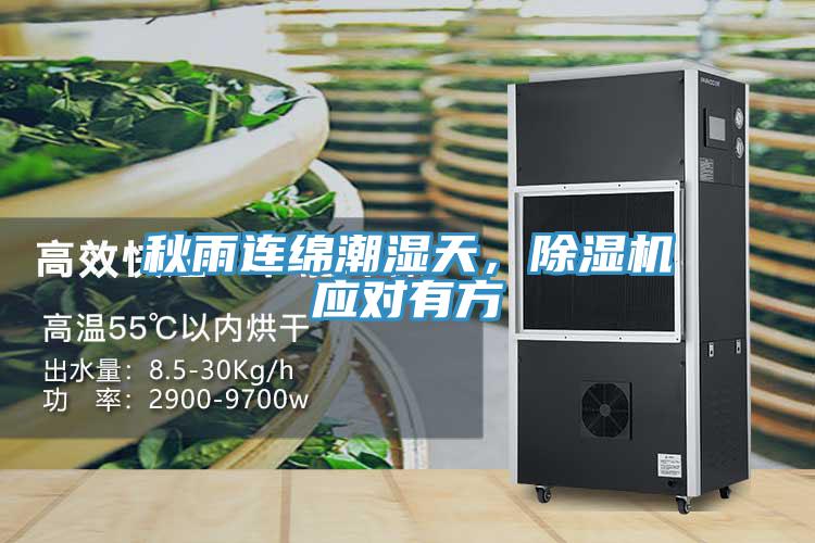 秋雨连绵潮湿天，抖音成人版下载应对有方