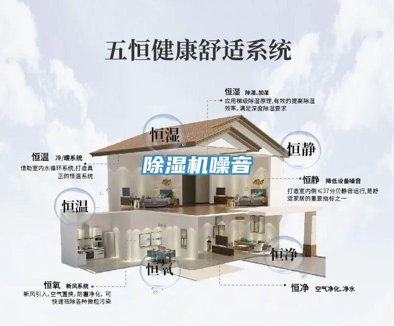 抖音成人版下载噪音