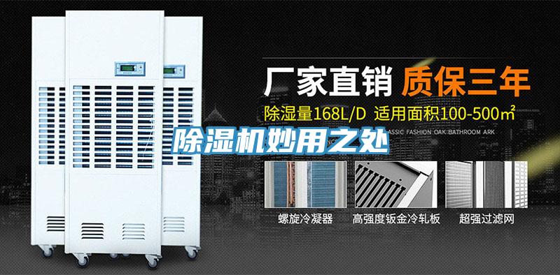 抖音成人版下载妙用之处