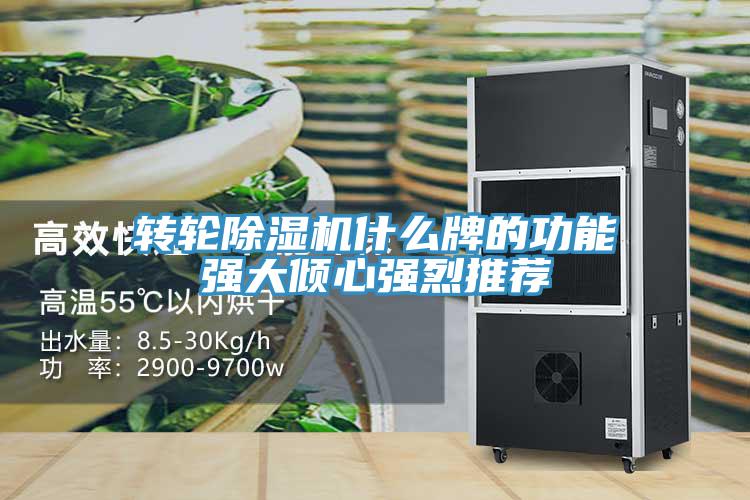 转轮抖音成人版下载什么牌的功能强大倾心强烈推荐