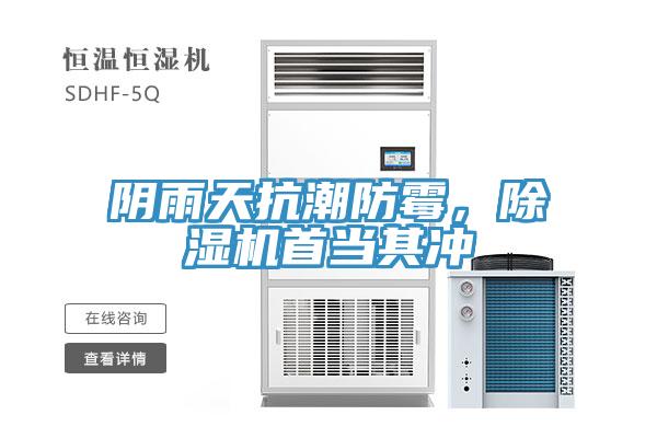 阴雨天抗潮防霉，抖音成人版下载首当其冲