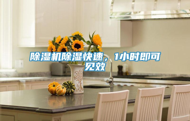 抖音成人版下载除湿快速，1小时即可见效