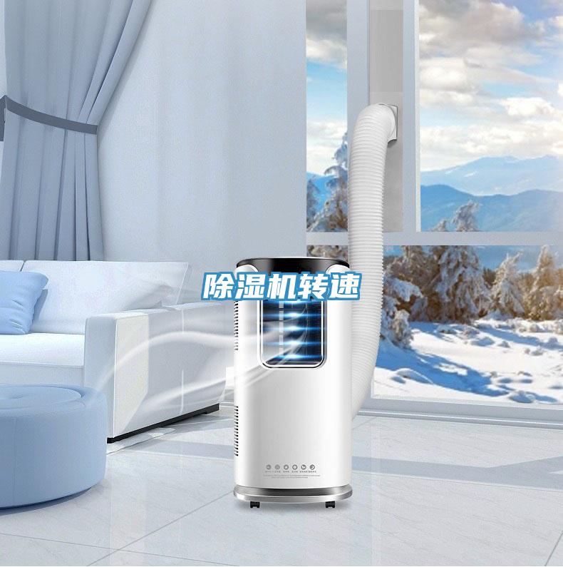 抖音成人版下载转速