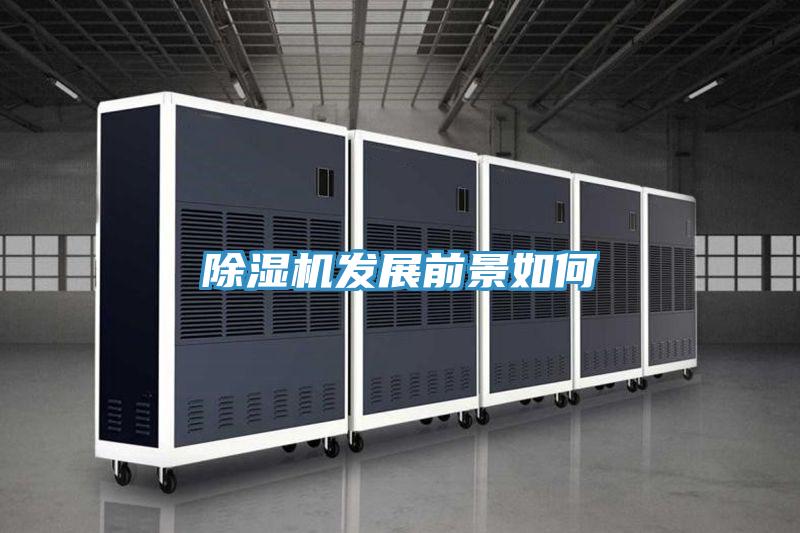 抖音成人版下载发展前景如何