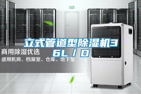 立式管道型抖音成人版下载36L／D