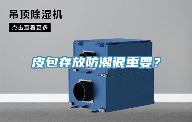 皮包存放防潮很重要？