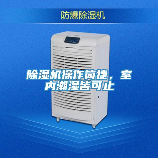 抖音成人版下载操作简捷，室内潮湿皆可止