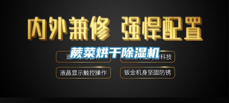 蕨菜烘干抖音成人版下载