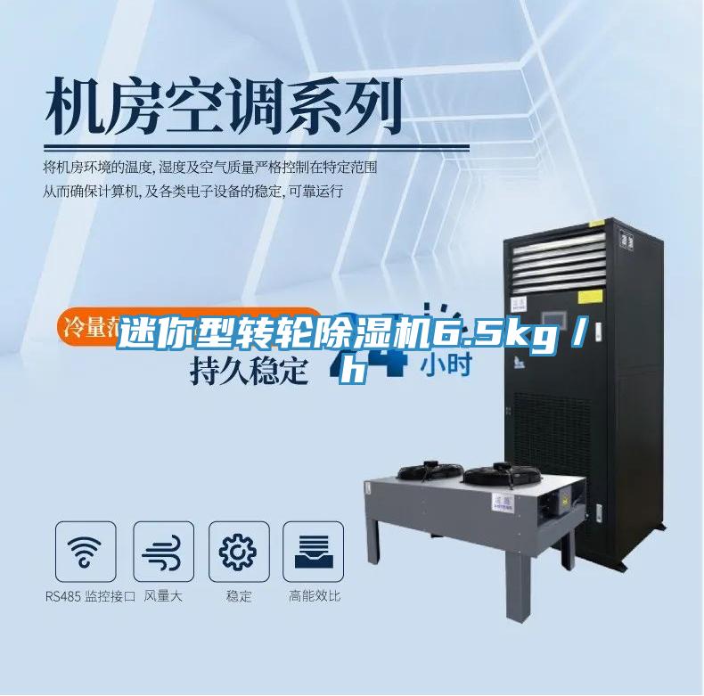 迷你型转轮抖音成人版下载6.5kg／h