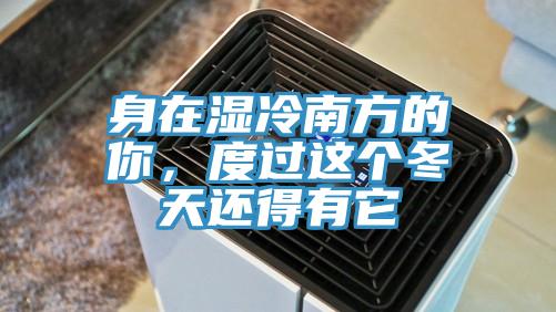 身在湿冷南方的你，度过这个冬天还得有它