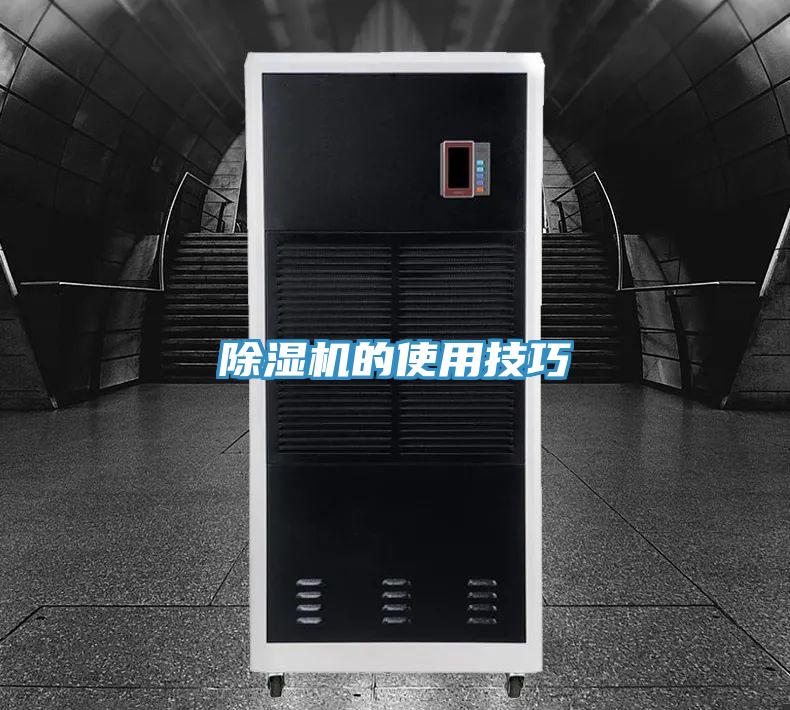 抖音成人版下载的使用技巧