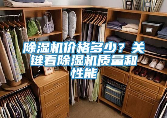 抖音成人版下载价格多少？关键看抖音成人版下载质量和性能